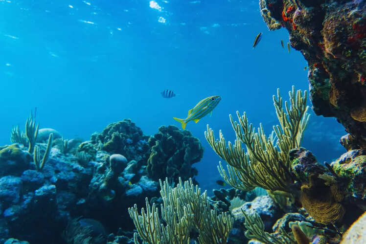 Agatti Island, Lakshadweep Islands