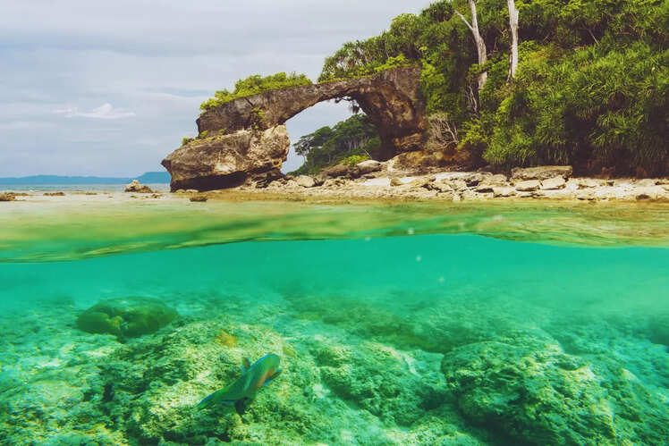 Neil Island, Andaman and Nicobar Islands