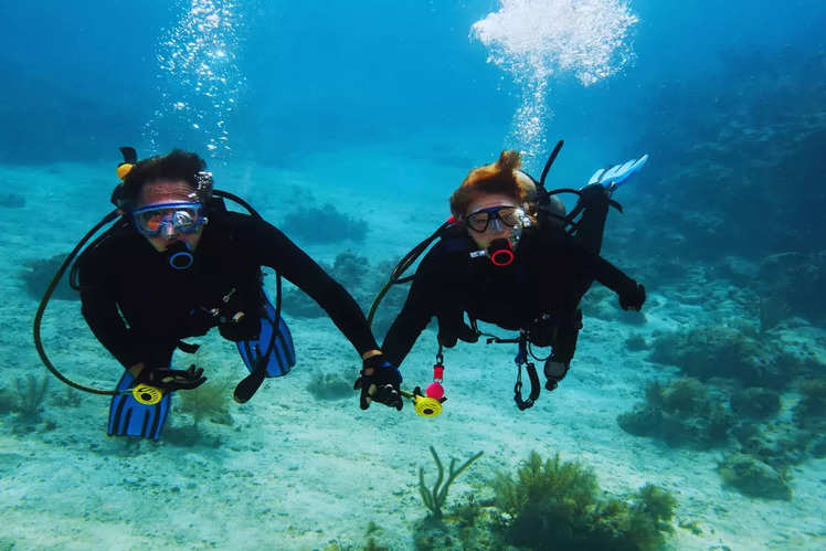 Best scuba diving destinations in India you need to explore | Times of ...