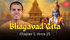Be Like Krishna: The Bhagavad Gita's Secret To True Leadership, Chapter 3, Verse 25