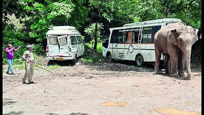 Captive elephant in ‘musth’ runs amok in Assam's Dispur, damages vehicles