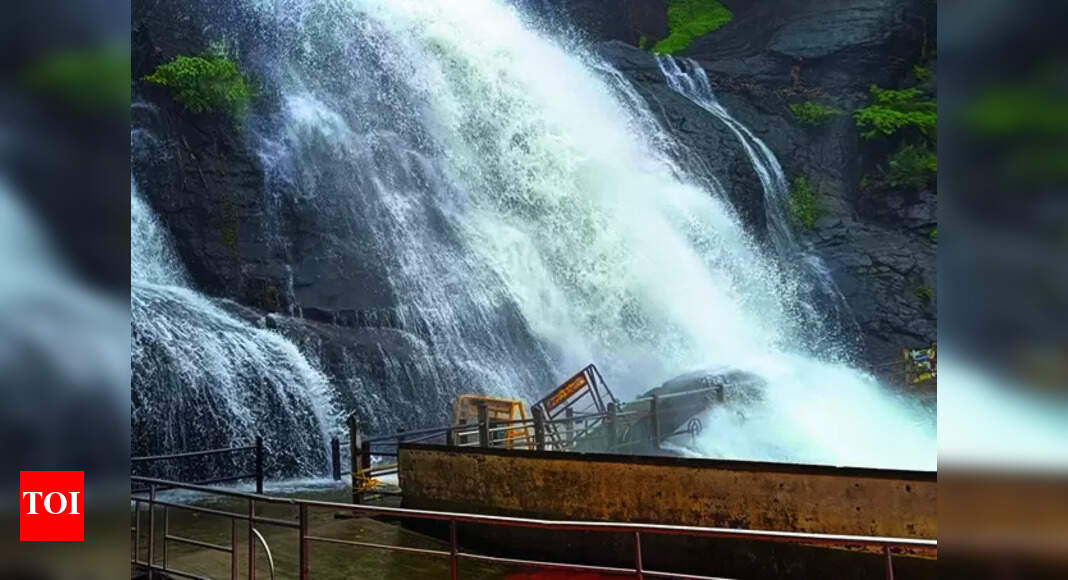 Rainfall: Copious rainfall in Western Ghats filling up reservoirs ...