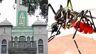 14 lakh houses on radar as Bruhat Bengaluru Mahanagara Palike (BBMP) ups its game to contain spread of dengue