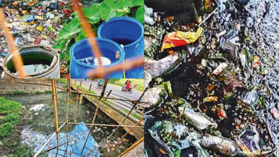 Dengue cases increase in Pune amid rain spells | Pune News - Times of India