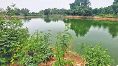 Tables turned! How lakes project is helping recharge groundwater in Delhi