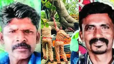 100-year-old banyan falls on truck in Tamil Nadu, 2 crushed to death