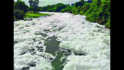 Chemical foam in river destroys crops: Farmers