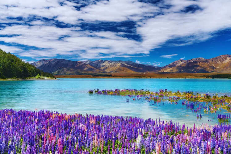 Lake Tekapo, New Zealand