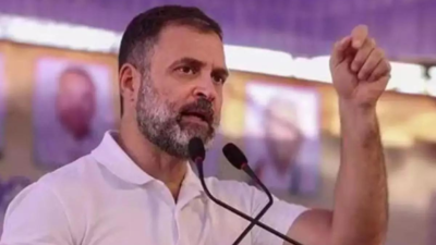 Govt refused debate on PM advice: Rahul Gandhi