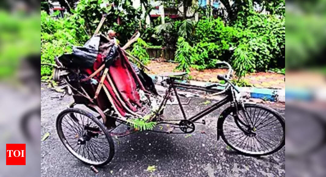 Rickshaw Puller: Rickshaw puller dies in tree branch crash | Kolkata ...
