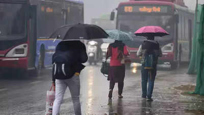 Rain turns Delhi University library into a dripping mess