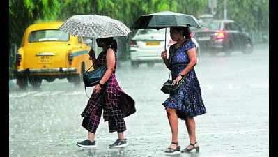 Kolkata gets 92.4mm showers in 24 hours: Met predicts consistent rain for now