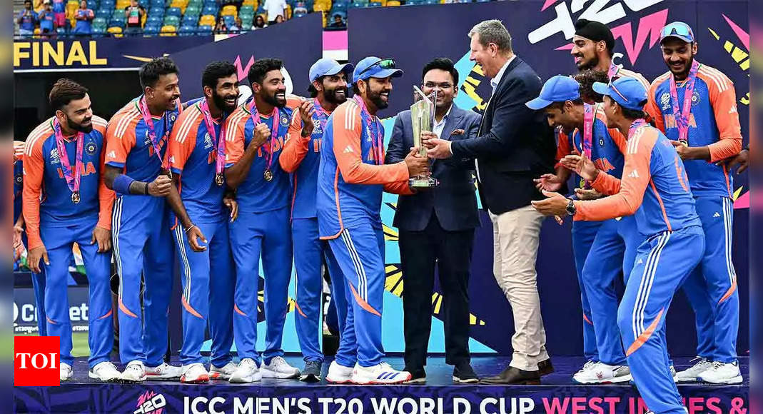 T20 World Cup final: How India snatched victory from the jaws of defeat