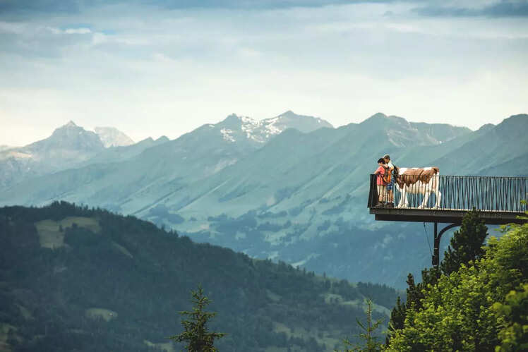 Harder Kulm, Interlaken