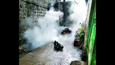 71 dengue cases in Nashik city in past week, June tally 165 now