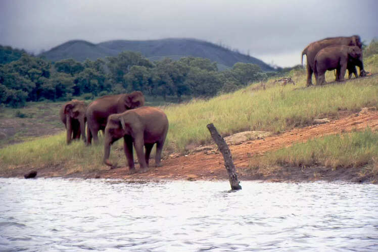 Wildlife sanctuaries