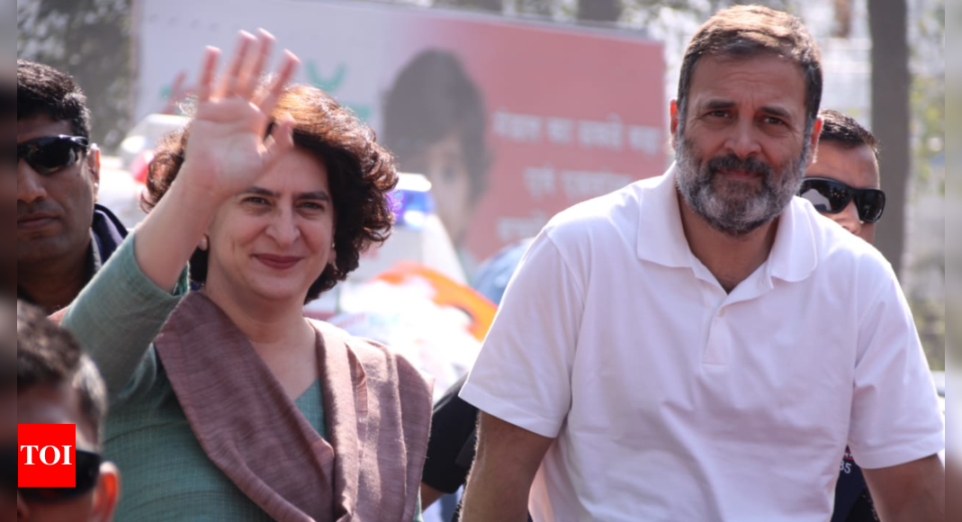 'Clearly about BJP': Priyanka, opposition leaders defend Rahul Gandhi 'Hindus' remark