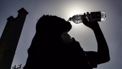 India experienced 536 heatwave days in summer, highest in 15 years: IMD