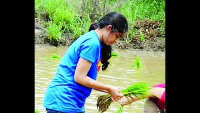 Rs 20k assistance for natural farming