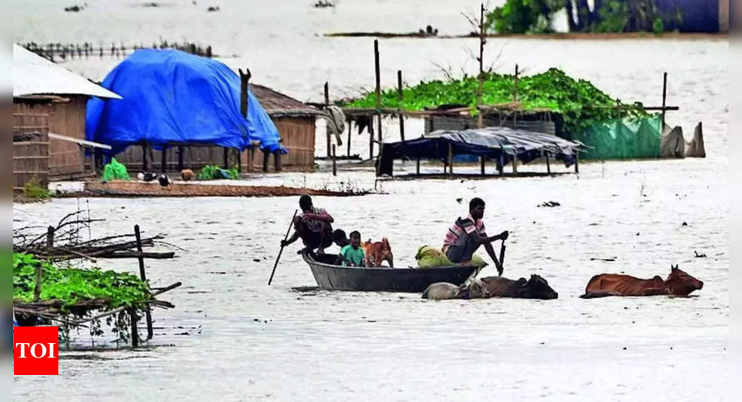 Flood situation in Assam, Arunachal worsens; frontier areas cut off
