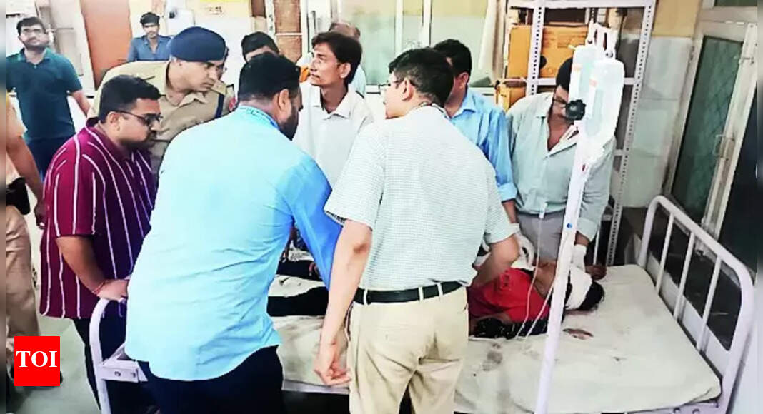 9 killed, 4 injured in Karauli road accident | Jaipur News - Times of India