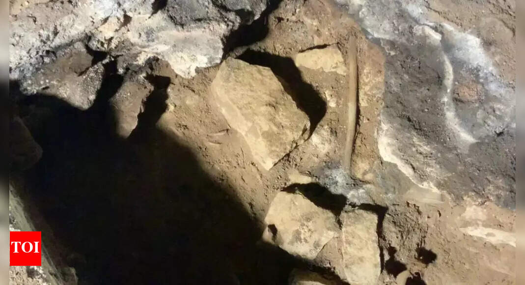 グナイクルナイの治癒儀式：12,000年にわたって行われてきた先住民の儀式、研究で判明