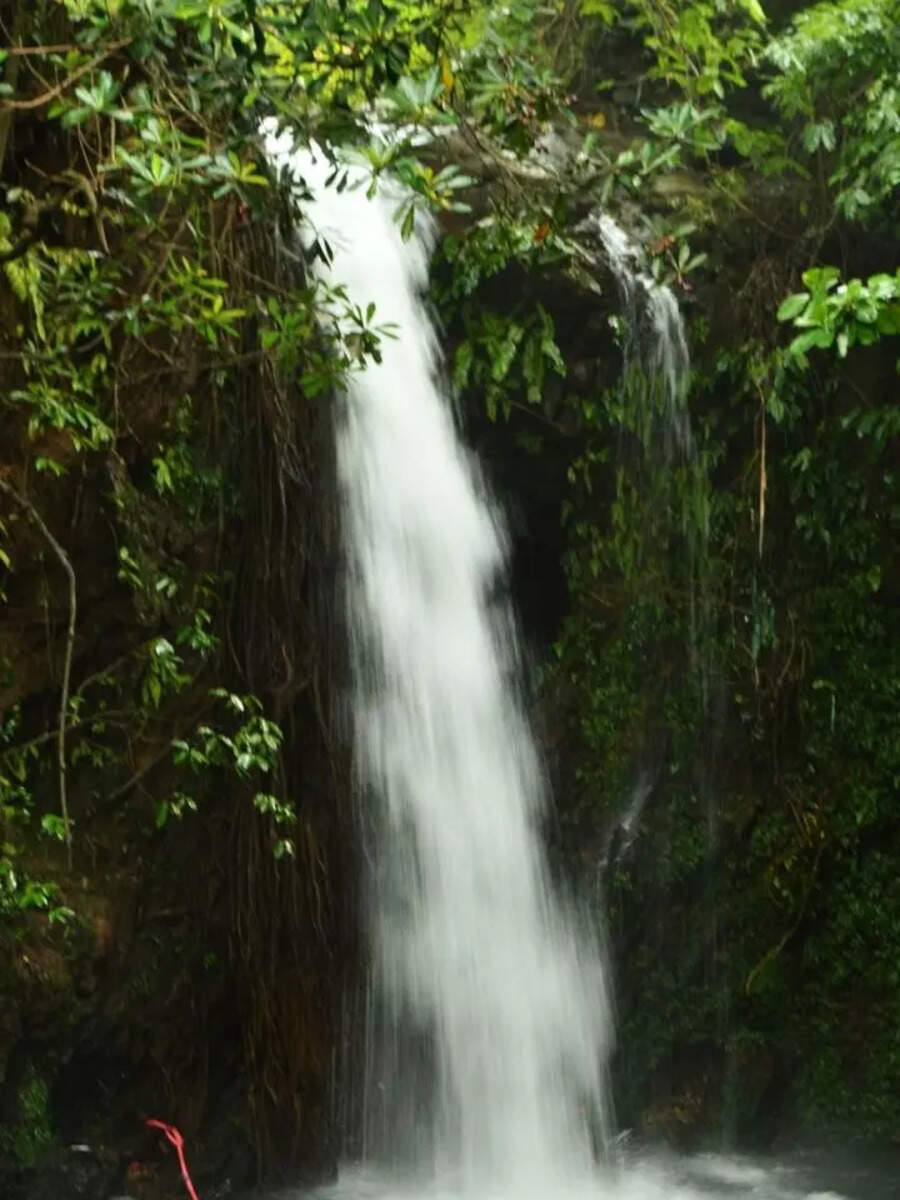 கேரளா போனால் இந்த அருவிகளை பார்க்காமல் ஊர் திரும்பாதீர்கள்! 