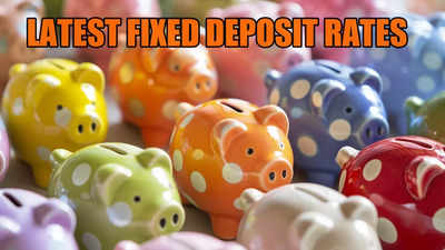 Latest FD rates up to 8.75%: Which banks have revised fixed deposit ...