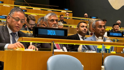 No substitute for national efforts in civilian security, says India at UN