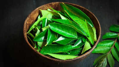Curry Leaves Empty Stomach Benefits: Surprising Benefits of Eating Curry Leaves on Empty Stomach | - The Times of India