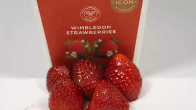 Wimbledon strawberries 'perfect' despite soggy spring