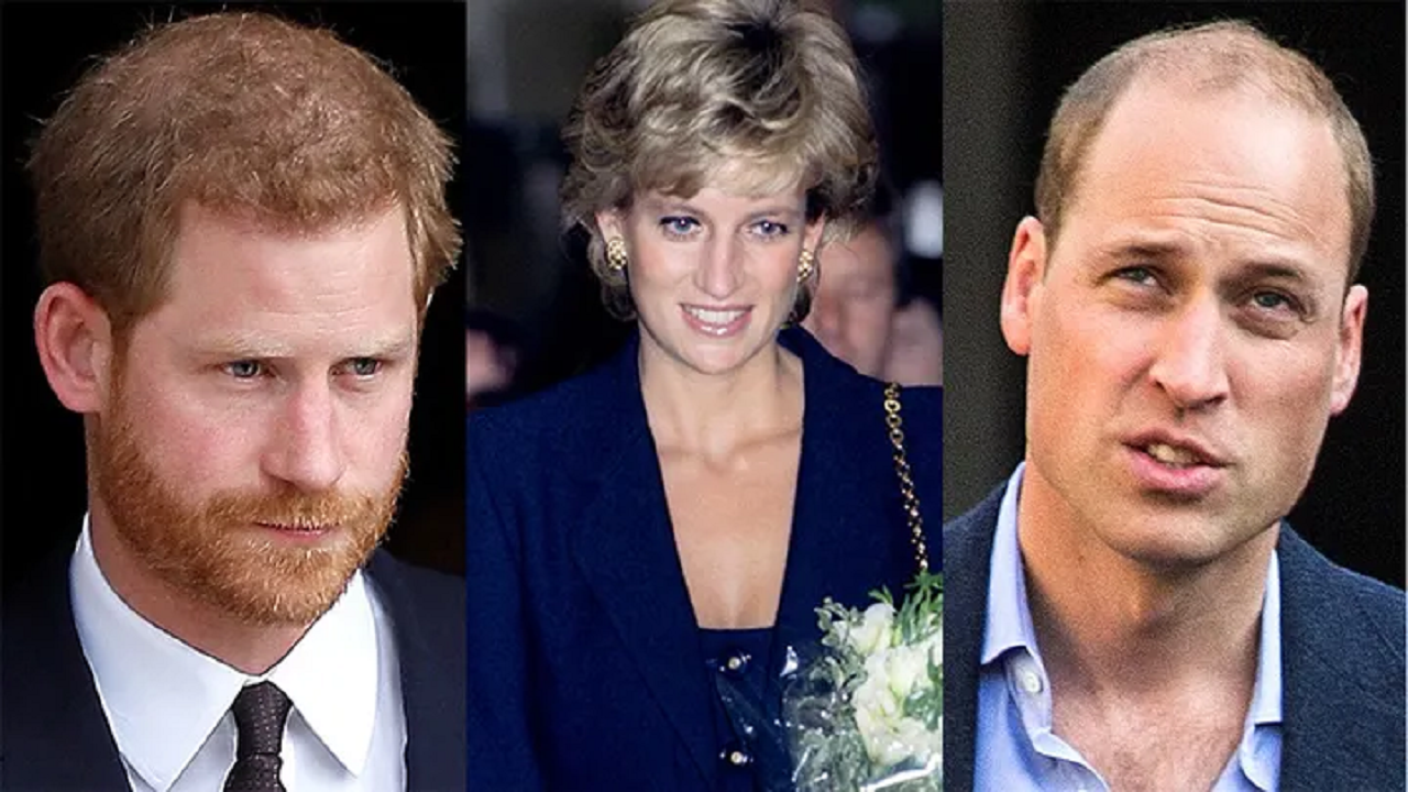 Princess Diana believed Prince Harry would be a better King than Prince  William' - The Times of India