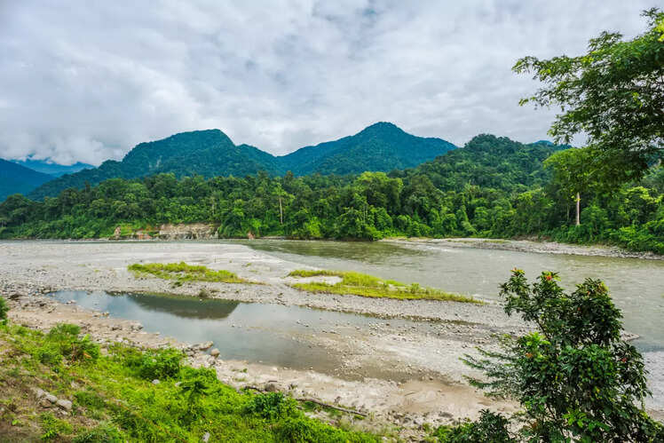 Namdapha National Park, Arunachal Pradesh