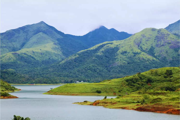 Wayanad Wildlife Sanctuary, Kerala