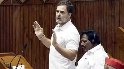 In rare move, Speaker names, reprimands LoP Rahul Gandhi