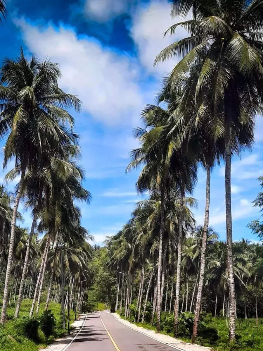 பெங்களூர் போறீங்களா இந்த இடங்களை மிஸ் செய்து விடாதீர்கள் செம்ம ஸ்பாட்! 