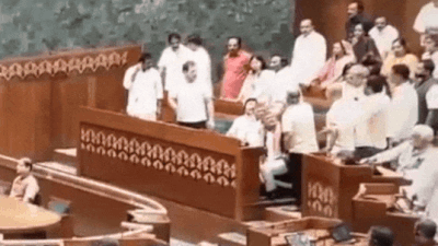 'Mother did the same': BJP accuses Rahul Gandhi of stirring ruckus in Lok Sabha during PM Modi's speech, shares video