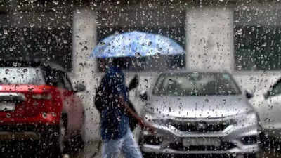 Parts of Delhi-NCR receive light rains, minimum temperature 29° Celsius