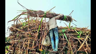 Rs 1,898 crore loan for 13 sugar mills, 10 tied to Maharashtra NCP, BJP netas