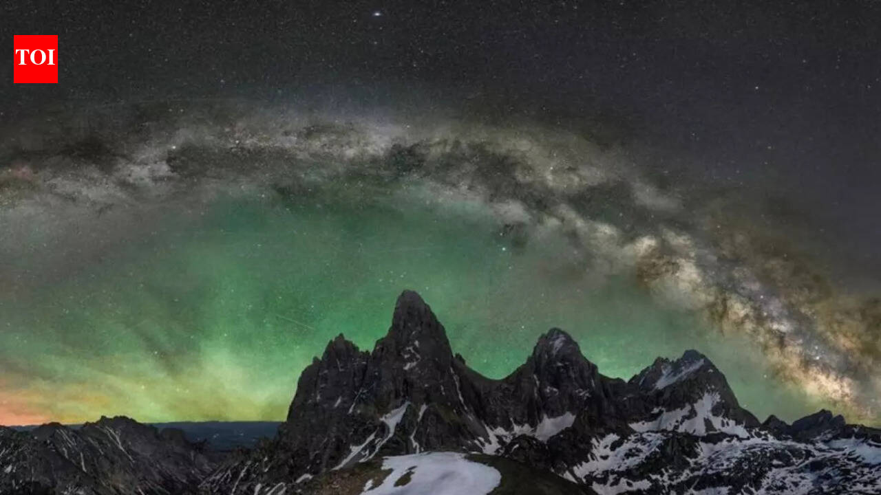 10 winners of World Nature Photography Awards that show nature in its ...