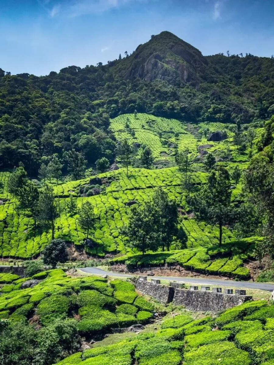  கேரளா டூர் போக பிளான் போட்டால் இந்த இடங்களை மிஸ் செய்து விடாதீர்கள்! 