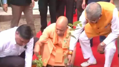 CM Yogi plants sapling as part of plantation campaign