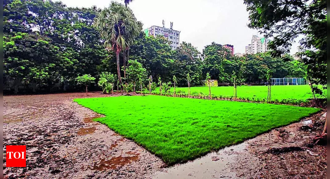 Calcutta High Court stays land allotment for actor's Lake cricket camp | Kolkata News