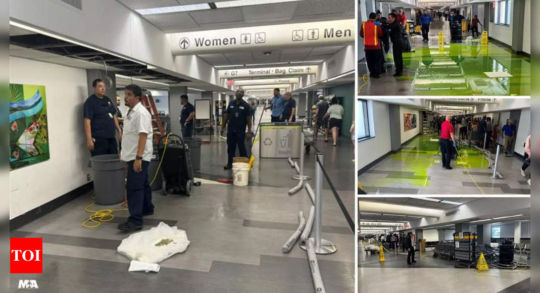 Miami airport hallway flooded by mysterious green fluid - Times of India