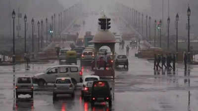 Delhi breathes easier as air gets better due to strong winds, rain