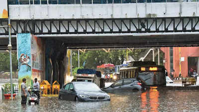 This too shall not underpass! Best-laid plans to avoid flooding fail to save Delhi