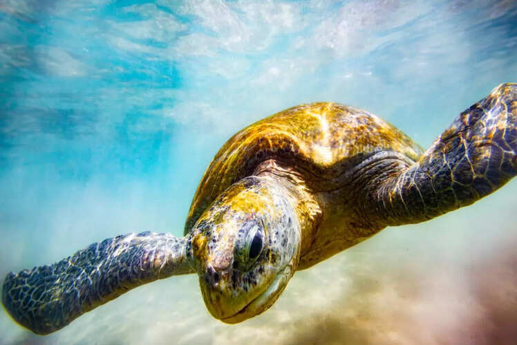Marine National Park