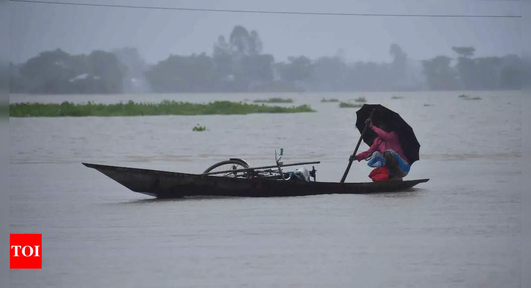 Assam Flood Assam Flood Situation Over 21 Lakh Affected 6 Deaths Reported Guwahati News 9051