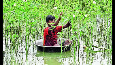 Assam floods: Situation critical, affected people over 24 lakh, 77 animals dead