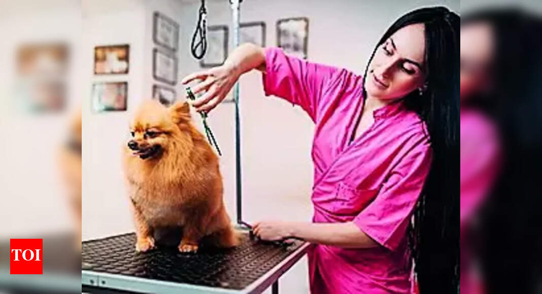 Pet Grooming NewAge Courses in Demand Pet Grooming and Spa Management Lucknow News Times